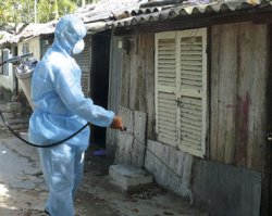 Phân loại sốt xuất huyết, cách phòng và điều trị bệnh sốt xuất huyết Dengue, chợ thuốc 24h, chothuoc24h.com