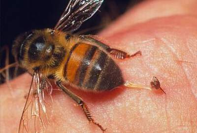 ong dot khi nao la nguy hiem